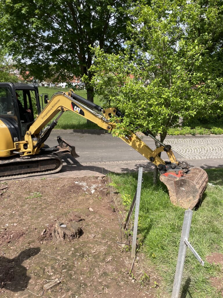 Der Bagger entfernt die Bäume